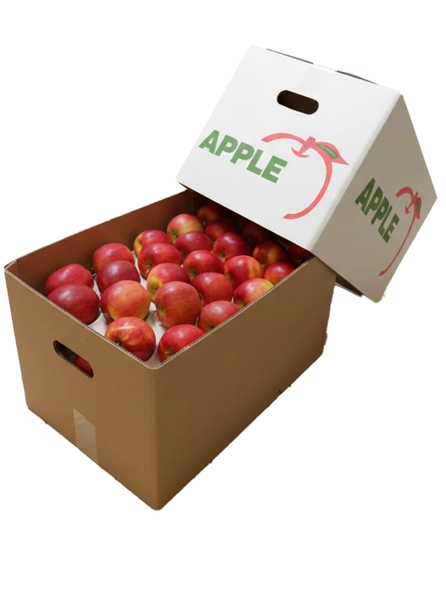 Custom printed corrugated apple export carton manufactured in India