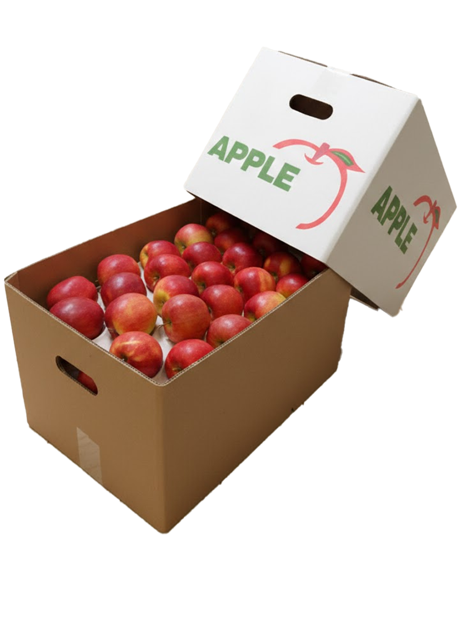 Printed Apple-Carton Supplier
