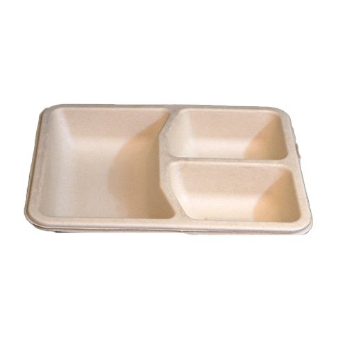 Sugarcane Bagasse-2